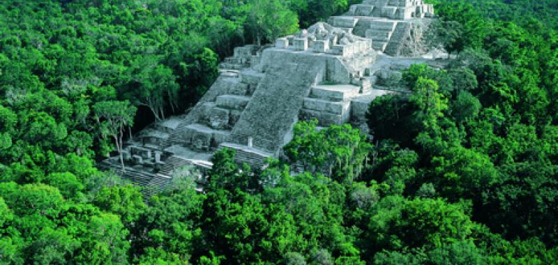 Calakmul 